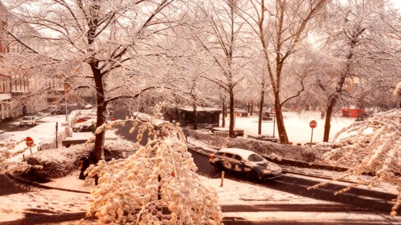 Warum 10 Millionen Deutsche plötzlich nach \"Wintereinbruch\" googeln – die Wahrheit dahinter 2025-11-07T11:44:11.938Z"